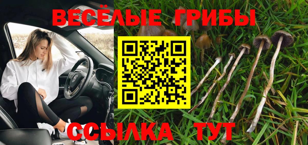 Псилоцибиновые грибы Psilocybe  Галлюциногенные грибы MAGIC MUSHROOMS  Керчь  Вход с VPN 